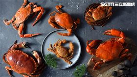 中秋節,藝奇,王品,螃蟹,牛排