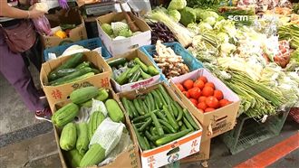 菜價新高　高麗菜漲6成！1斤50元