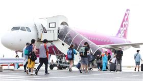 關西機場,樂桃航空,關西,樂桃