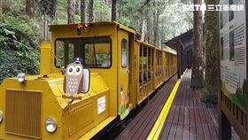 宜蘭,太平山,蹦蹦車,太平山蹦蹦車
圖／翻攝自羅東林管處官網、太平山國家森林遊樂區臉書