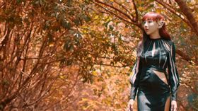 李宓高唱｢紅葉」