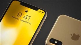 蘋果,iPhone,愛瘋,金色版 圖／翻攝自網路