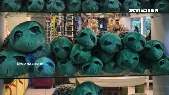 ET出沒？櫥窗驚見「詭異綠球體」！