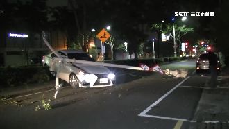 駕駛疑飆速失控　開上分隔島撞斷路燈