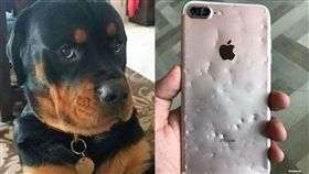 蘋果秋季新品發表會,iPhone,手機,咬爛(圖/翻攝自爆廢公社)