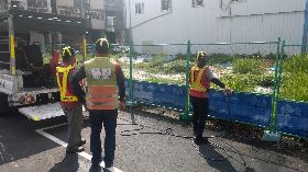 中市再增3例登革熱　市府啟動強力孳檢