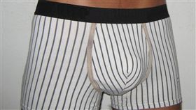 ▲沃德爾天生沒有陰莖。（圖／攝影者WCM, 翻攝自Wikimedia Commons）
https://pt.wikipedia.org/wiki/Ficheiro:Boxerbriefs1.JPG