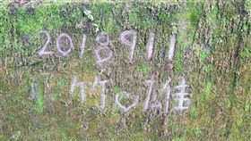 台中大雪山的神木區被刻字／臉書爆料公社