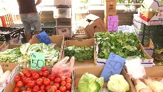 菜價飆新高　高麗菜「一顆破百元」