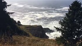 陸夫妻野餐遭「瘋狗浪」捲走（圖／翻攝自Lindsay Nadrich推特）