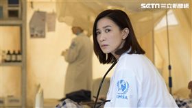  黃金兄弟/寬魚國際提供