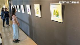 鐘麗琴水彩原畫展 台灣原生花卉原作加花卉詩文迎花博／中市府提供