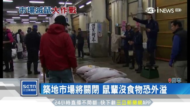 日築地市場將關閉　民憂鼠輩外竄銀座