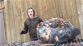 美國,大腳怪,頭顱,詭異(圖／翻攝自YouTube 
Peter Caine Dog Training）