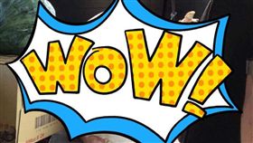 計程車,豬,運將,載客,／翻攝自爆廢公社