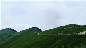 台灣大自然與多元文化  美籍導遊大推長期在台灣部落推動觀光的美籍導遊羅雪柔說，台灣有山、有大自然與多元文化，卻不懂得展現優點，應更聚焦、大方展現特色。中央社記者蘇木春攝  107年9月9日