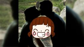 熊,婚禮,親吻,新人,動物園,攝影師,見證,忌妒,單身,熊大,兔兔　圖／翻攝自臉書　https://goo.gl/iFwkoB