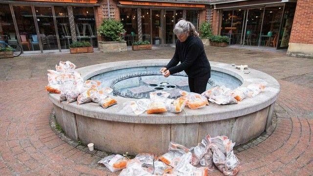 街測在噴泉放10萬硬幣　結果被拿光