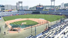 南韓NC恐龍昌原市馬山棒球場，王維中。 （圖／記者林敬旻攝）