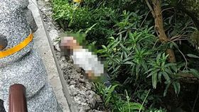 台北,內湖,上吊,碧山路。翻攝畫面