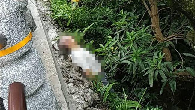 快訊／北市內湖碧山路　男疑上吊身亡