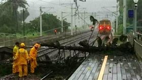 16:9
山里站路樹遭吹倒壓斷電車線　緊急啟用柴電機車牽引行駛
台鐵 山竹 颱風
圖／翻攝畫面