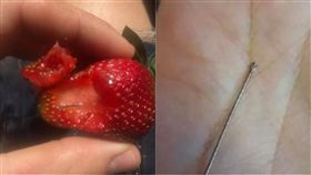 澳洲,草莓,針,縫衣針,報復,雇主,種植,包裝　圖／翻攝自推特　