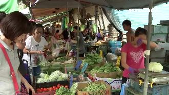 山竹漸離菜降　唯地瓜葉一斤漲10元