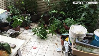 快訊／5歲女童驚傳自6樓住處墜樓