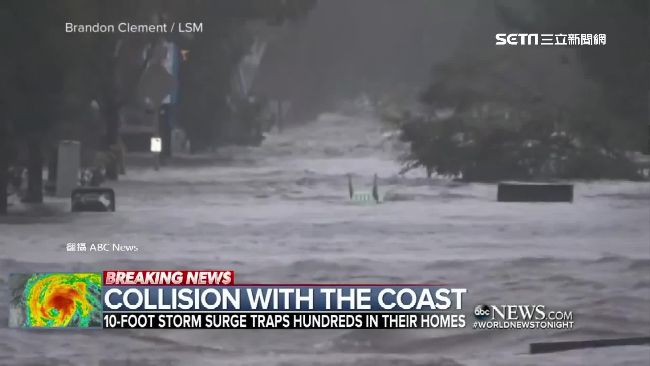 佛羅倫斯重創美東　驚見鱷魚悠哉逛街