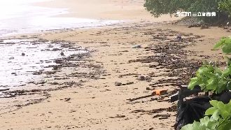 漂流木堆南灣沙灘　業者嘆一周難營業