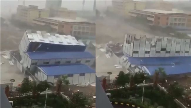 山竹強襲中國　深圳房旱地拔蔥被吹倒