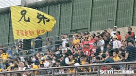 味全龍球迷在看台上歡迎張泰山進場。（圖／記者王怡翔攝）