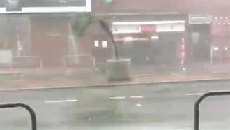 強颱山竹襲港！學者憂廣東核電廠安全