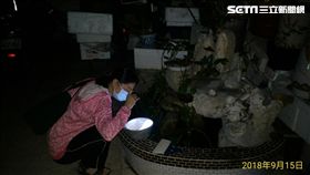 高雄市衛生局,本土登革熱,三民區,成藥,登革熱