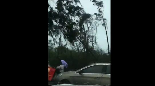 山竹颱風雨驟風強　2女過街遭樹滅頂