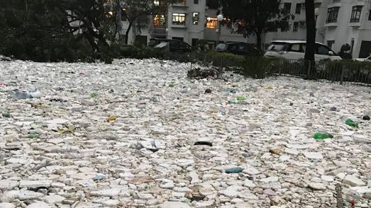 「大海還人類的」山竹走後香港變這樣