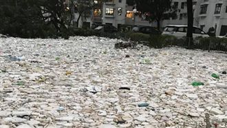 「大海還人類的」山竹走後香港變這樣