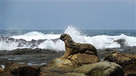 基隆八斗子海豹奇岩