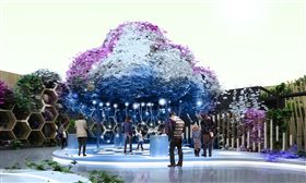 台中花博蘭花齊爭豔　一窺台灣蘭花故事