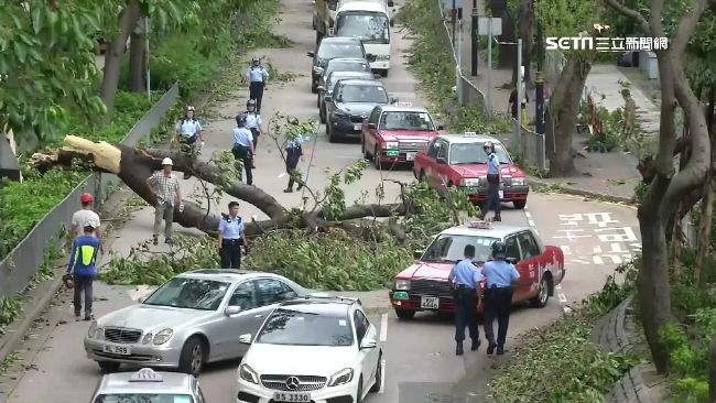 路樹全被山竹吹起！香港街道如障礙賽