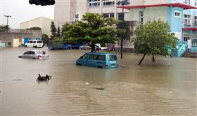 823嘉義淹水　急降雨又逢大潮
