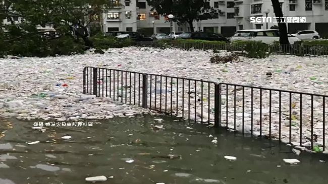 分解保利龍靠「牠」！邊吃邊拉就解決