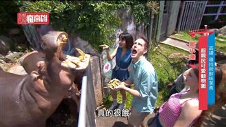 德國妹帶團 高雄美食大冒險!