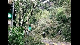  ▲山竹颱風（圖／翻攝自臉書） https://www.facebook.com/tokit.channel/photos/a.533448593394335/2174706849268493/?type=3