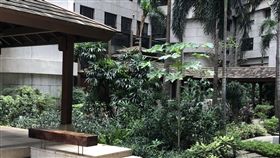 社區中庭。（圖／業者提供）