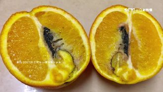 賣場甜橙驚見怪蟲　醫師：黑腐病勿吃