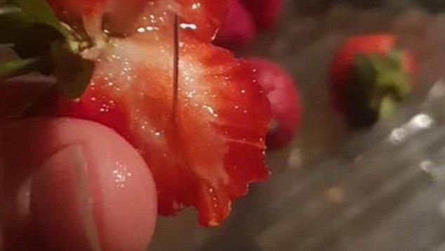 水果藏針延燒　澳洲超商停售縫衣針