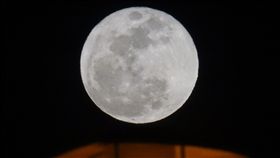 快來看2018年最大滿月2018年最大滿月2日出現，中央氣象局天文站技士鄭振豐表示，儘管滿月發生在上午10時24分，但晚間看月亮「差不多大」，民眾可把握好天氣賞月。中央社記者施宗暉攝　107年1月2日