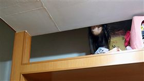 兒子,長髮,半顆頭,倒頭栽,七月半,／翻攝自爆怨公社